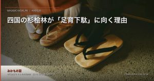 四国の杉桧林が「足育下駄」に向く理由｜間伐材を子どもの足のために使う、はびりす×みかも木履の挑戦 アイキャッチ