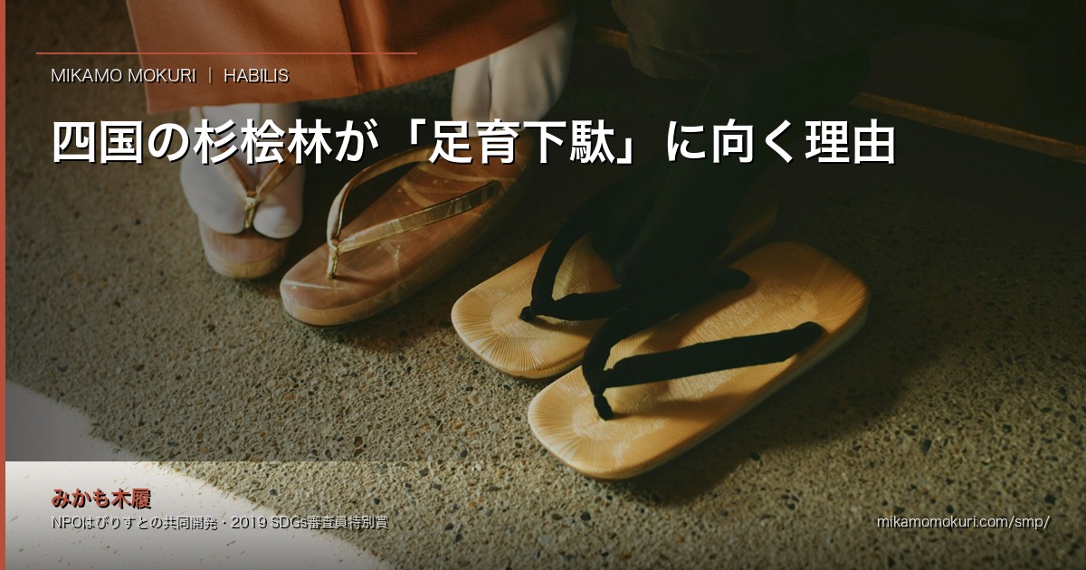 四国の杉桧林が「足育下駄」に向く理由｜間伐材を子どもの足のために使う、はびりす×みかも木履の挑戦 アイキャッチ