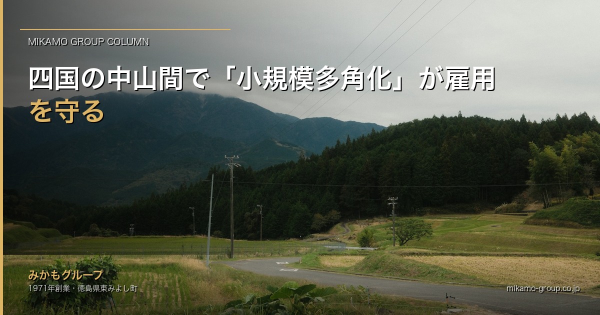 四国の中山間で「小規模多角化」が雇用を守る地理条件｜生活圏が小さい地域に複数事業を持つ意味 アイキャッチ